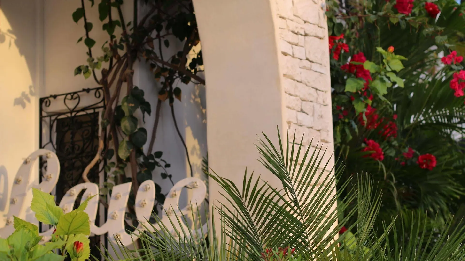 Livetulum Lejlighedshotel Mexico